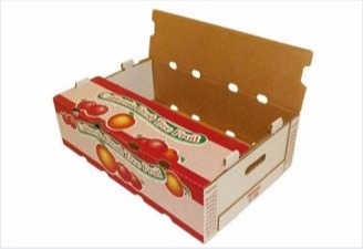 Export-Quality Fruits and Vegetable Boxes